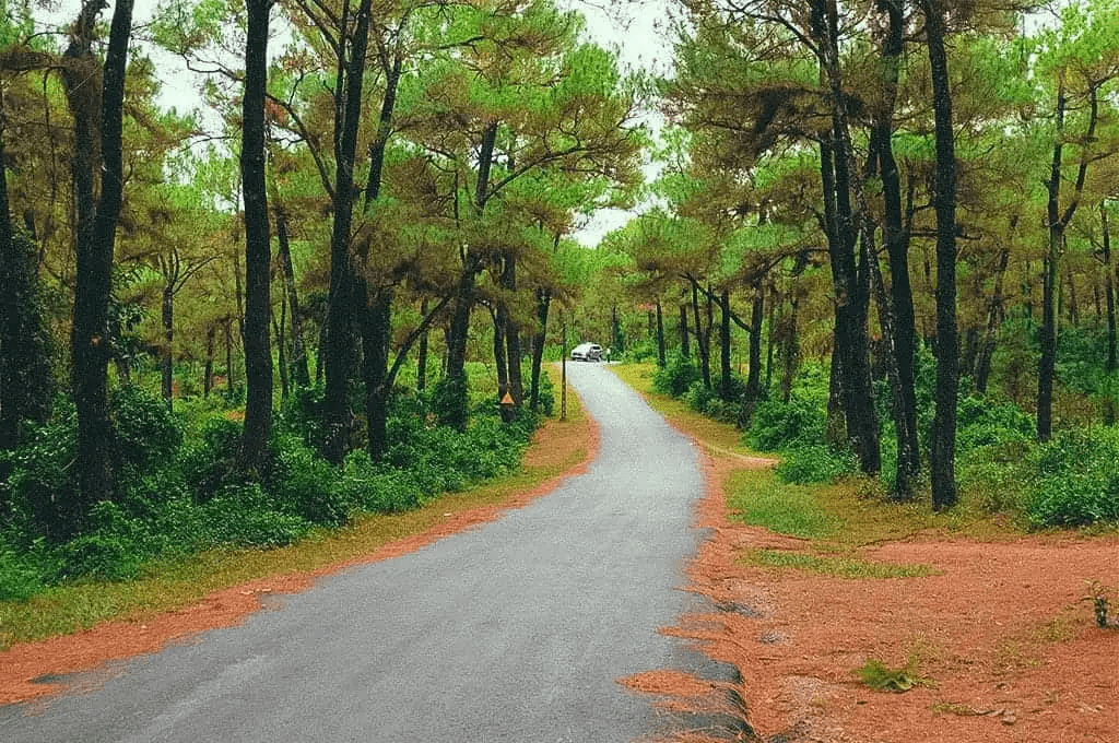 địa điểm du lịch của huế